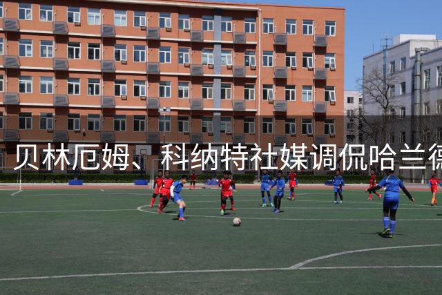 贝林厄姆、科纳特社媒调侃哈兰德新发型：这造型绝了！维京猛男！